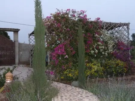 Le Jardin aux Etoiles, Maison 8 personnes à Sidi Boumoussa - Photo 36