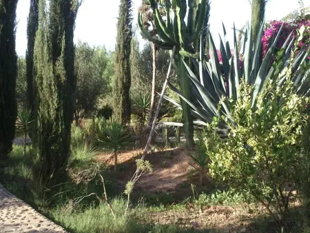 Le Jardin aux Etoiles, Maison 8 personnes à Sidi Boumoussa - Photo 38