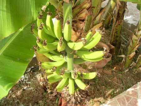 Le Jardin aux Etoiles, Maison 8 personnes à Sidi Boumoussa - Photo 42
