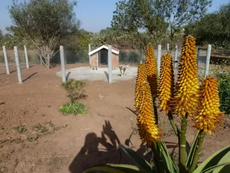 Le Jardin aux Etoiles, Maison 8 personnes à Sidi Boumoussa - Photo 44