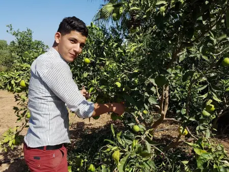 Le Jardin aux Etoiles, Maison 8 personnes à Sidi Boumoussa - Photo 47