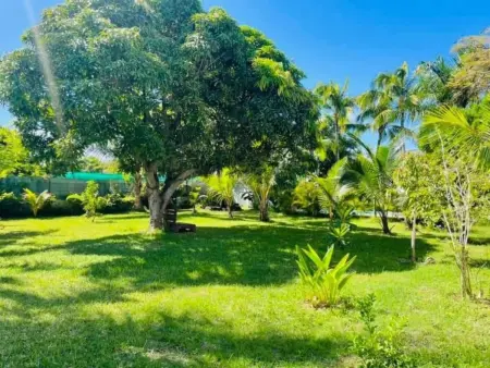 in Roches Noires mit Großem Garten, Maison 4 personnes à Cap Malheureux - Photo 20