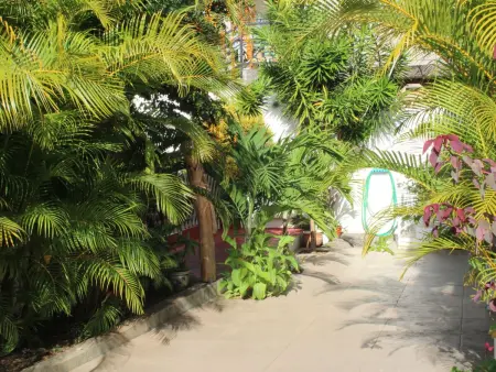 VIllakapy Ideal für Rentnerinnen und Rentner, Appartement 2 personnes à Cap Malheureux - Photo 25