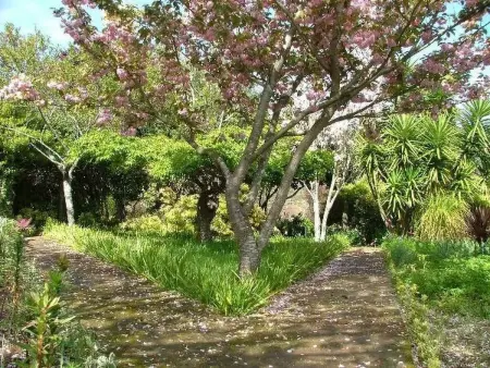 Finca  Quinta do Bento Novo, Maison 12 personnes à Balteiro - Photo 10