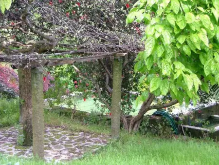 Finca  Quinta do Bento Novo, Maison 12 personnes à Balteiro - Photo 19