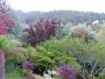 Finca  Quinta do Bento Novo, Maison 12 personnes à Balteiro - Photo 26