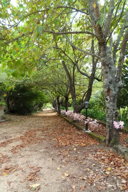 Finca  Quinta do Bento Novo, Maison 12 personnes à Balteiro - Photo 28