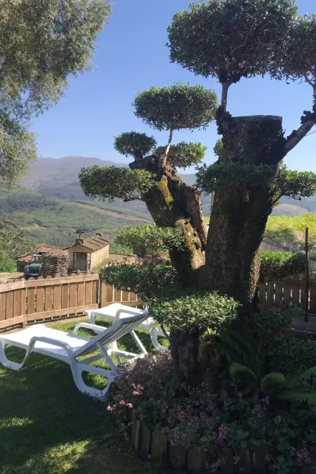 Casas das Olas 6 - Großartige Aussicht, 2 Pools, idealer Ort zum Entspannen und - Photo 14