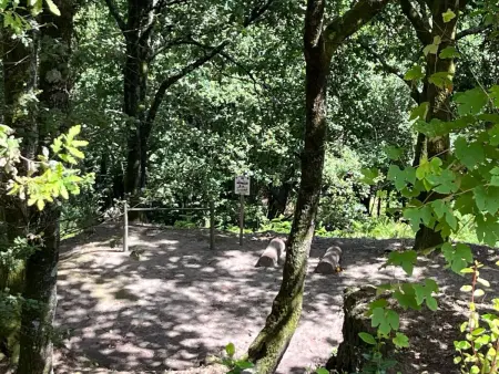 Chalet  Casas das Olas 4, Maison 6 personnes à Arcos de Valdevez - Photo 34