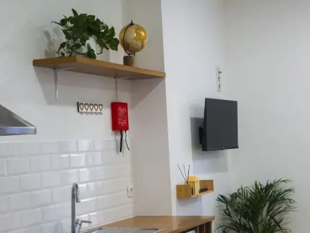 Ganz nah an der Mündung, Appartement 3 personnes à Aveiro - Photo 12
