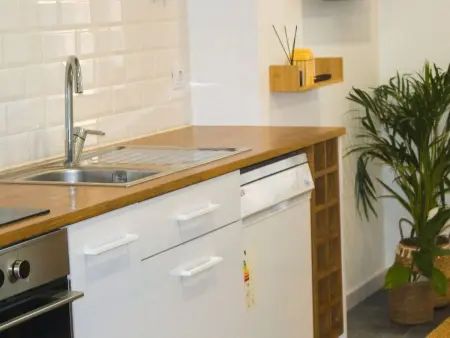Ganz nah an der Mündung, Appartement 3 personnes à Aveiro - Photo 13