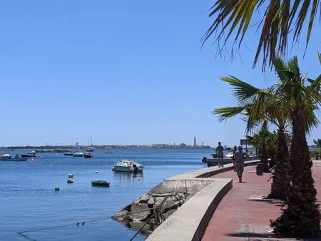 Wohnung mit Balkon, Blick auf die Lagune, Sao Jacinto, Aveiro - Photo 15