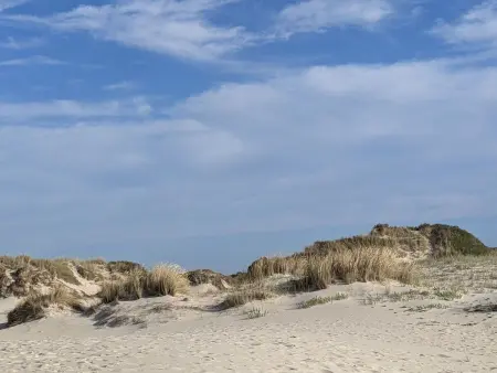 Wohnung mit Balkon, Blick auf die Lagune, Sao Jacinto, Aveiro - Photo 16