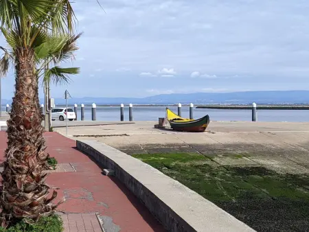 Wohnung mit Balkon, Blick auf die Lagune, Sao Jacinto, Aveiro - Photo 17