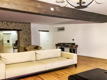 Herrschaftshaus durch die Täler, Maison 14 personnes à Oliveira de Frades - Photo 13