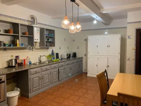 Herrschaftshaus durch die Täler, Maison 14 personnes à Oliveira de Frades - Photo 22