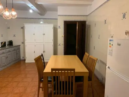 Herrschaftshaus durch die Täler, Maison 14 personnes à Oliveira de Frades - Photo 23