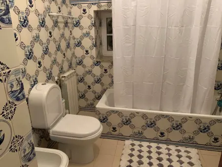 Herrschaftshaus durch die Täler, Maison 14 personnes à Oliveira de Frades - Photo 26