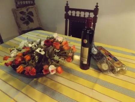 Historisches Haus in der Nähe des historischen Dorfes von Óbidos - Photo 12