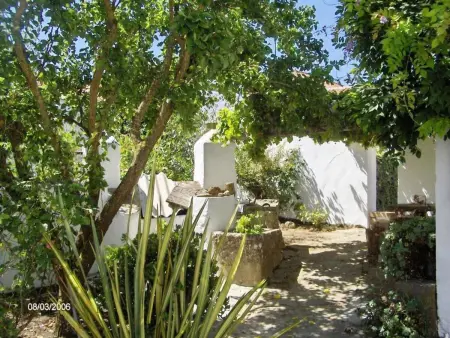 Historisches Haus in der Nähe des historischen Dorfes von Óbidos - Photo 32