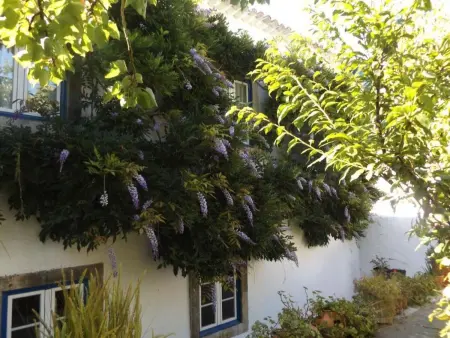 Historisches Haus in der Nähe des historischen Dorfes von Óbidos - Photo 35