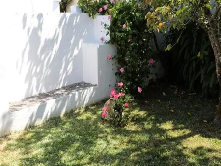 Historisches Haus in der Nähe des historischen Dorfes von Óbidos - Photo 39