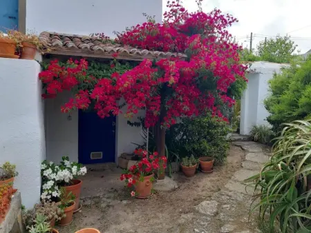 Historisches Haus in der Nähe des historischen Dorfes von Óbidos - Photo 42