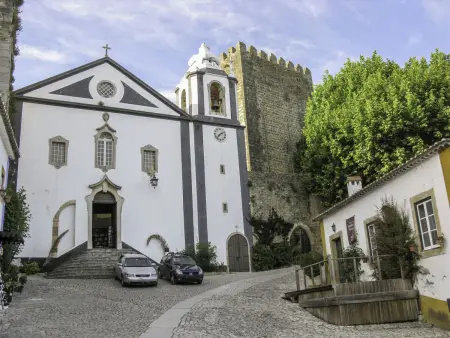 Historisches Haus in der Nähe des historischen Dorfes von Óbidos - Photo 49