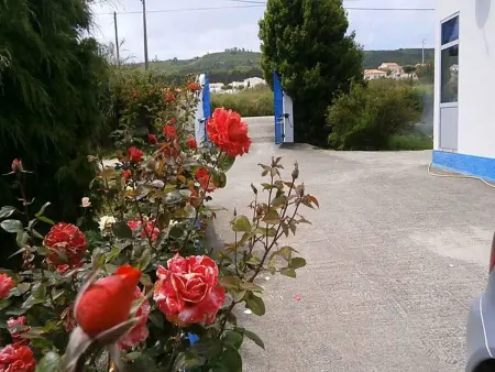 Die typischste Region Portugals, Appartement 6 personnes à Famalicão - Photo 18
