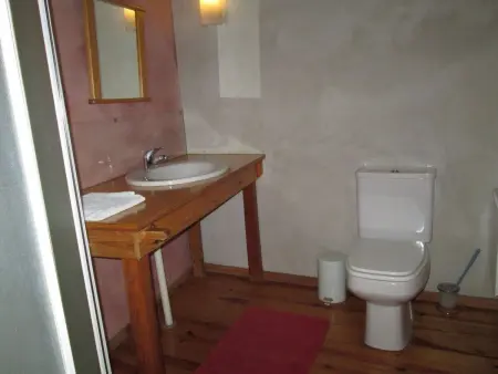Bauernhaus aus dem XIX Jahrhundert, Maison 10 personnes à Torres Novas - Photo 23