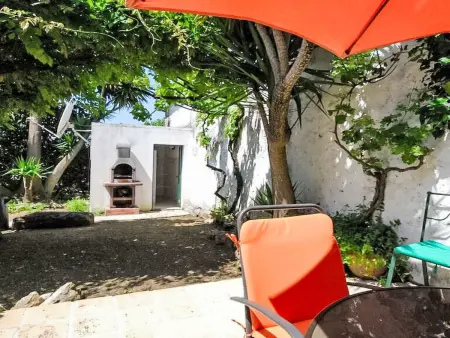 Bauernhaus aus dem XIX Jahrhundert, Maison 10 personnes à Torres Novas - Photo 27