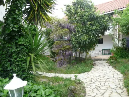 Bauernhaus aus dem XIX Jahrhundert, Maison 10 personnes à Torres Novas - Photo 38