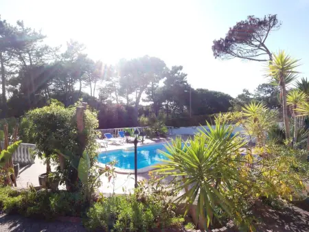 Schönes Ferienhaus in Colares mit Privatem Pool - Photo 7