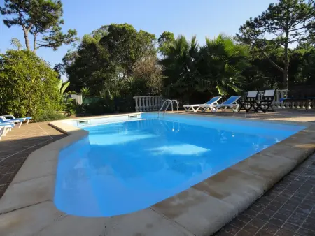 Schönes Ferienhaus in Colares mit Privatem Pool - Photo 10