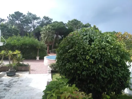Schönes Ferienhaus in Colares mit Privatem Pool - Photo 11