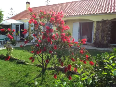 Quinta do Mar  mit Whirlpool, Maison 6 personnes à Colares - Photo 11