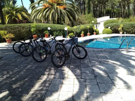 Villa das Palmeiras mit großem Schwimmbad, Maison 4 personnes à Seixal - Photo 34