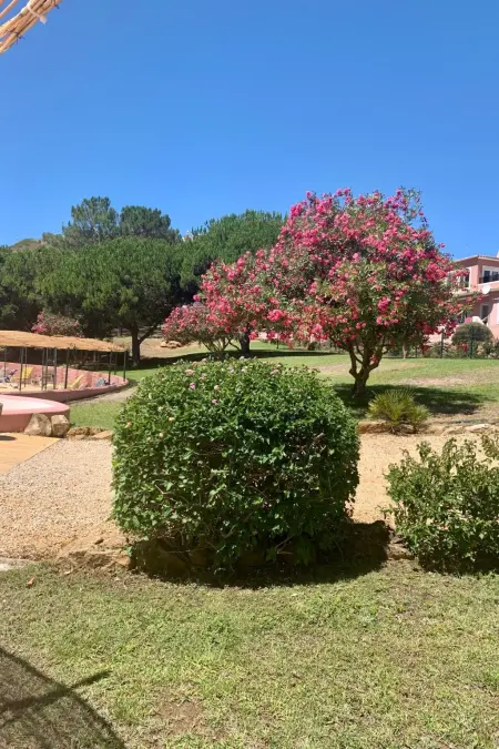Casadaluz 86 maison vue mer à praia da luz, Maison 5 personnes à Bensafrim - Photo 25