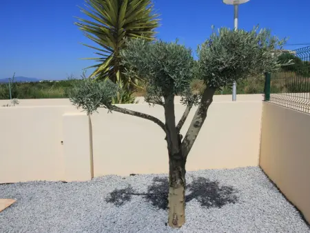 Vila Marques da Luz, Maison 4 personnes à Bensafrim - Photo 6