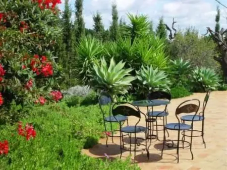 Quinta do Sol  mit Kamin, Maison 8 personnes à Alvor - Photo 2