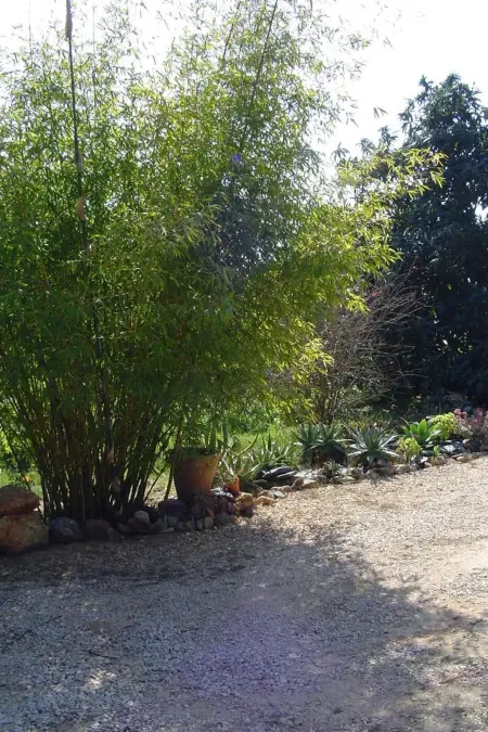 Quinta do Sol  mit Kamin, Maison 8 personnes à Alvor - Photo 25