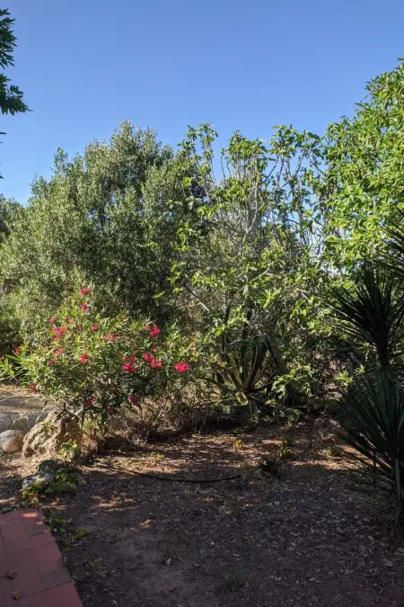 mit Pool und 5 Schlafzimmern für 10 Personen., Maison 10 personnes à Carvoeiro (Algarve) - Photo 16
