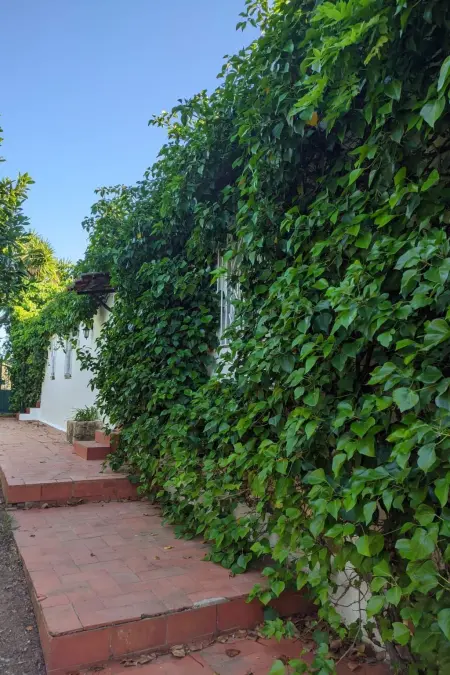 mit Pool und 5 Schlafzimmern für 10 Personen., Maison 10 personnes à Carvoeiro (Algarve) - Photo 17