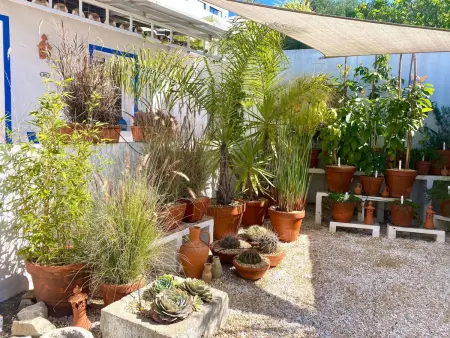 Vila Verão Nur für Erwachsene, Maison 4 personnes à Conceição bei Faro - Photo 23