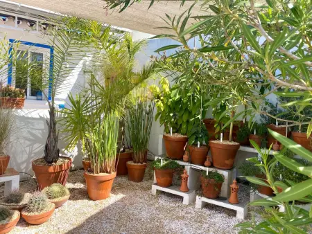 Vila Verão Nur für Erwachsene, Maison 4 personnes à Conceição bei Faro - Photo 43