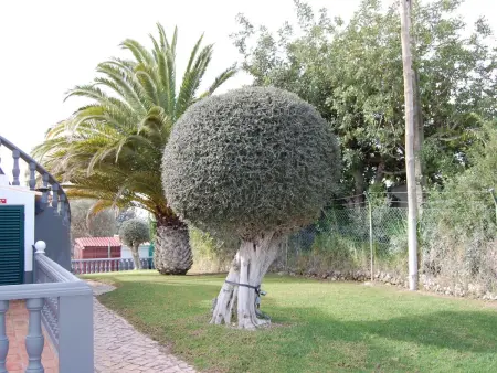 Villa Monte Alegrete, Maison 8 personnes à Loulé - Photo 16