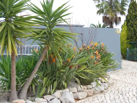 Villa Monte Alegrete, Maison 8 personnes à Loulé - Photo 38