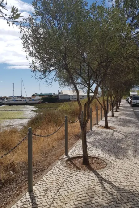 Estrelinha da Fuzeta, Appartement 2 personnes à Fuseta - Photo 19