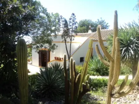 Landestypische Ferienfinca für die ganze Familie - Photo 2