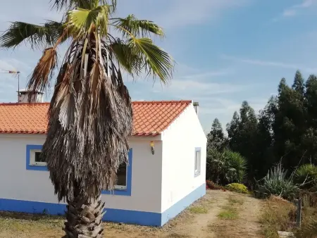 Monte Horizonte Casa Borboleta Öko und Natur, Maison 5 personnes à Santiago do Cacém - Photo 11